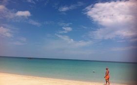 Roots Bamboo Beach Resort